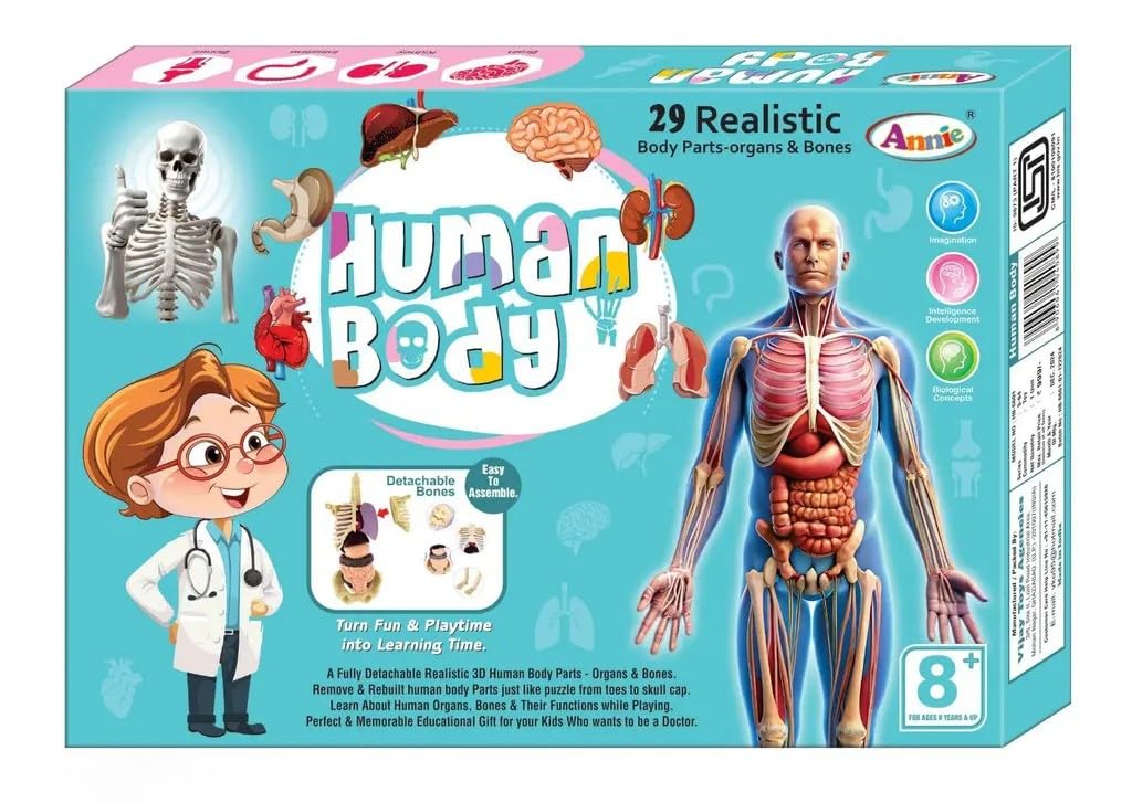 Human Body Board Game